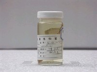 藏品(青嘴龍占)的圖片